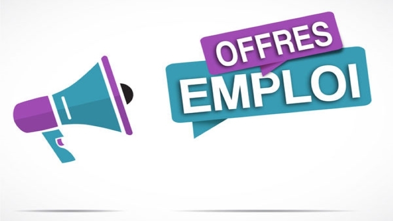 Offres d’emplois