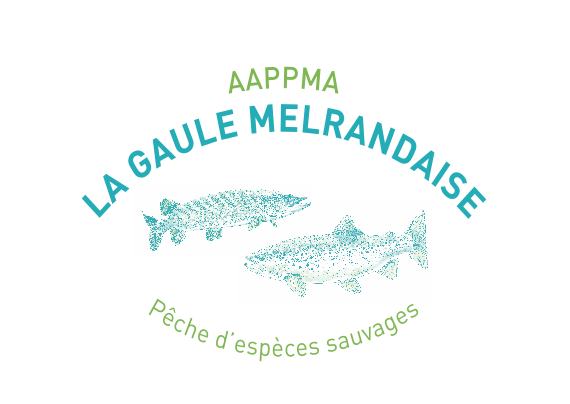 Stages de pêche 2021