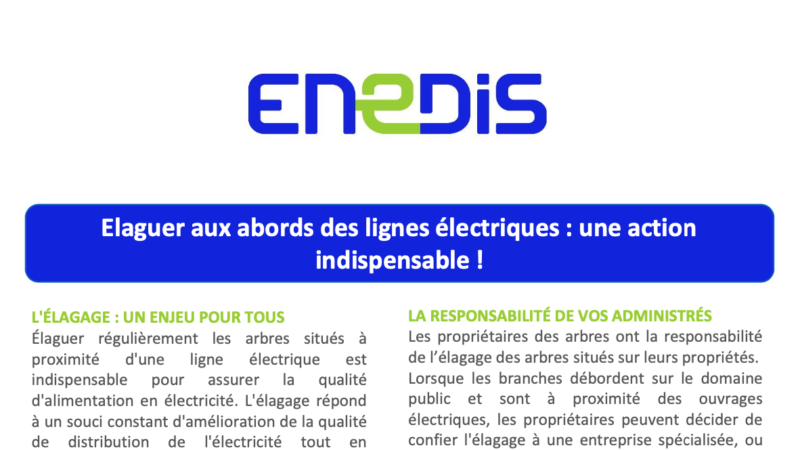 Elaguer aux abords des lignes électriques : une action indispensable