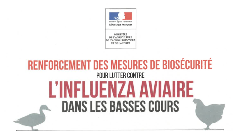 Prévention influenza aviaire