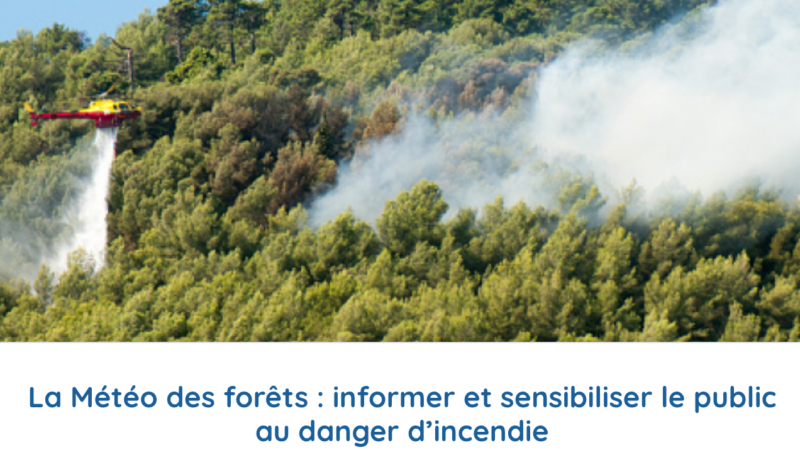 La météo des Forêts