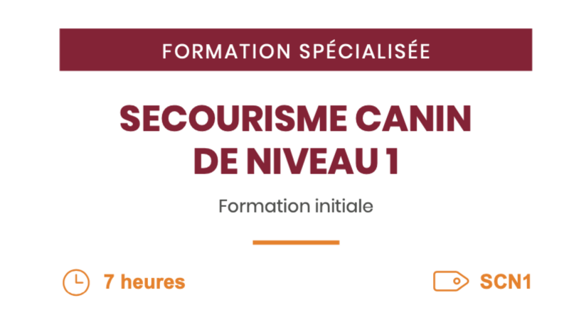 Formation au secourisme canin