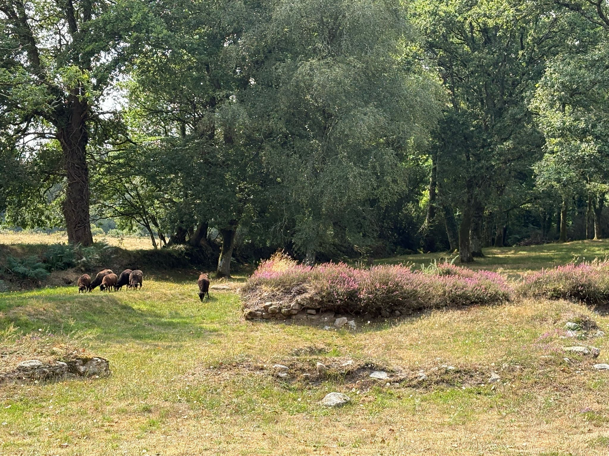 Journées de l&rsquo;archéologie au Village de l&rsquo;An Mil